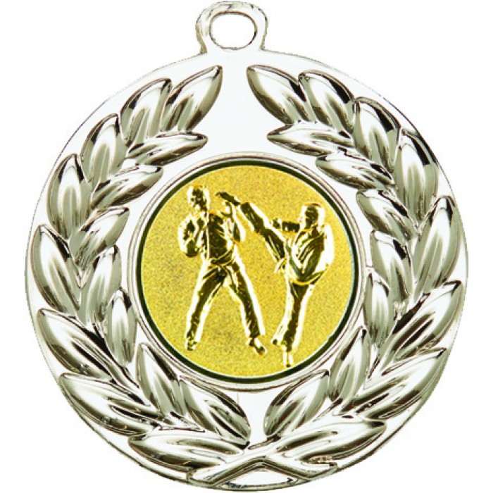 50MM SILVER SPARRING MARTIAL ARTS MEDAL
